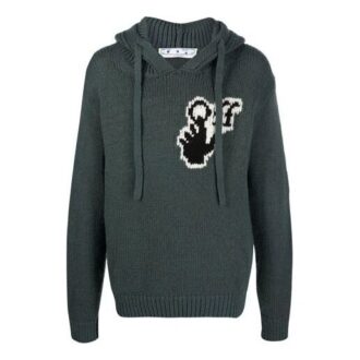 Hiver-Printemps 2021, pull à capuche en tricot avec logo, version standard, vert