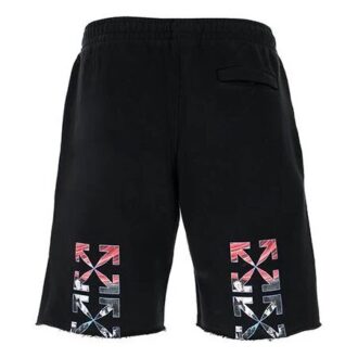 Homme FW20 Caravaggio Peinture Logo Double Arrows