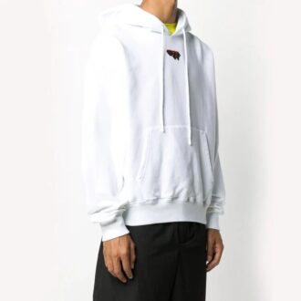 Pull à capuche FW20 Logo pour homme, blanc